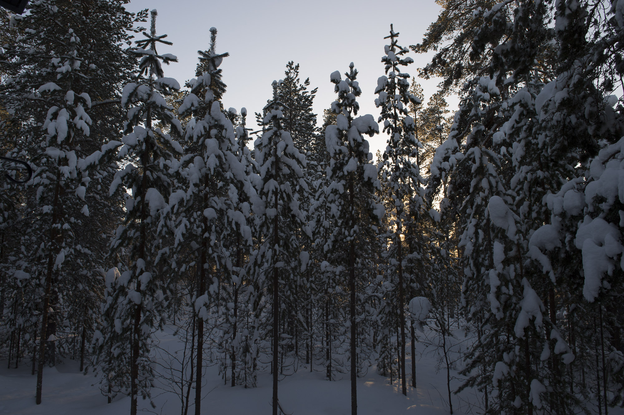 20150204 Finnland Trip 008  SNE7368