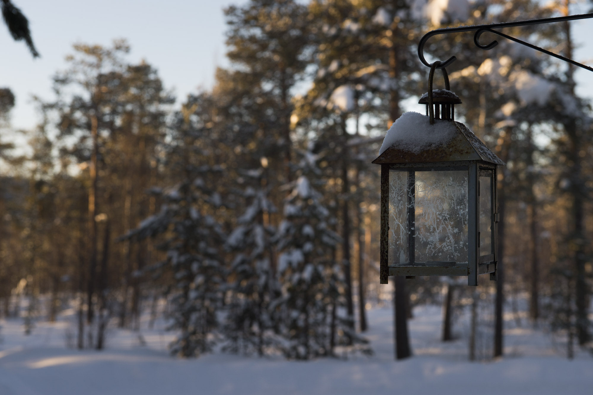 20150204 Finnland Trip 009  SNE7370