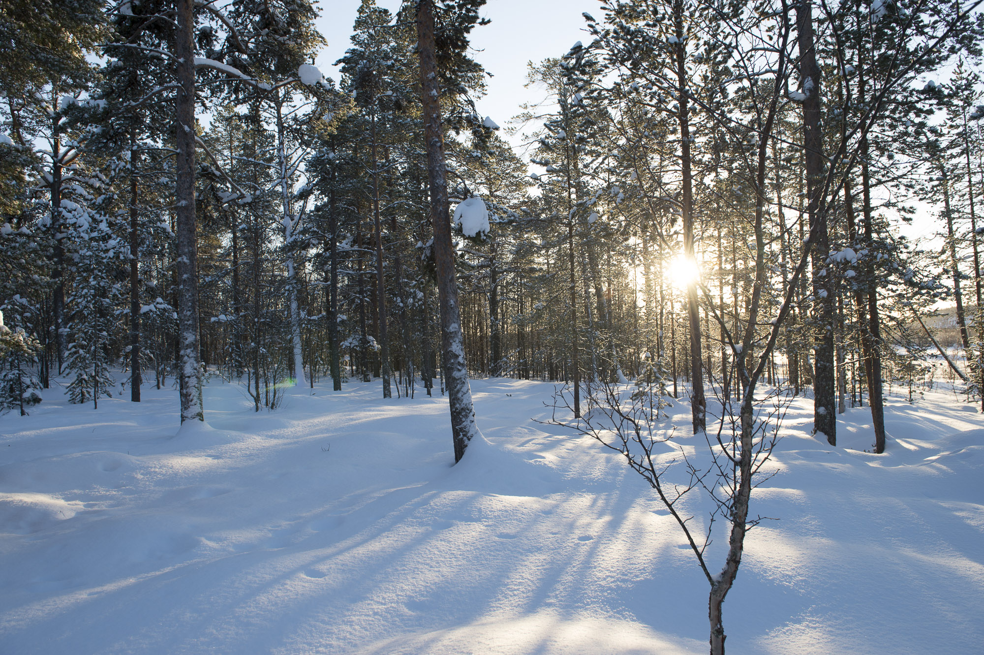 20150204 Finnland Trip 012  SNE7378