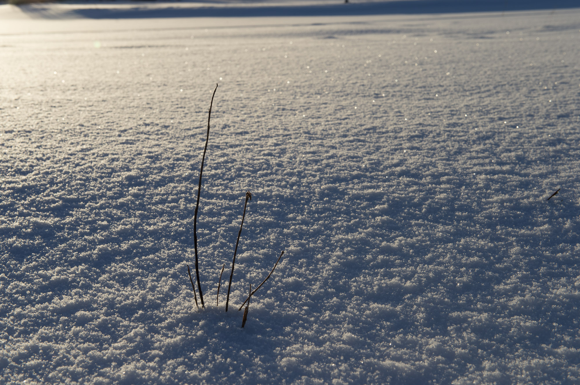 20150204 Finnland Trip 016  SNE7397