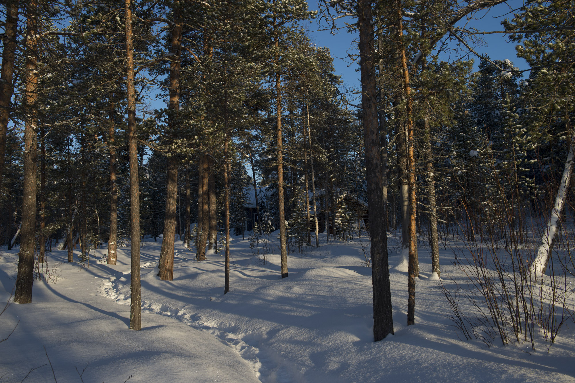 20150204 Finnland Trip 018  SNE7402