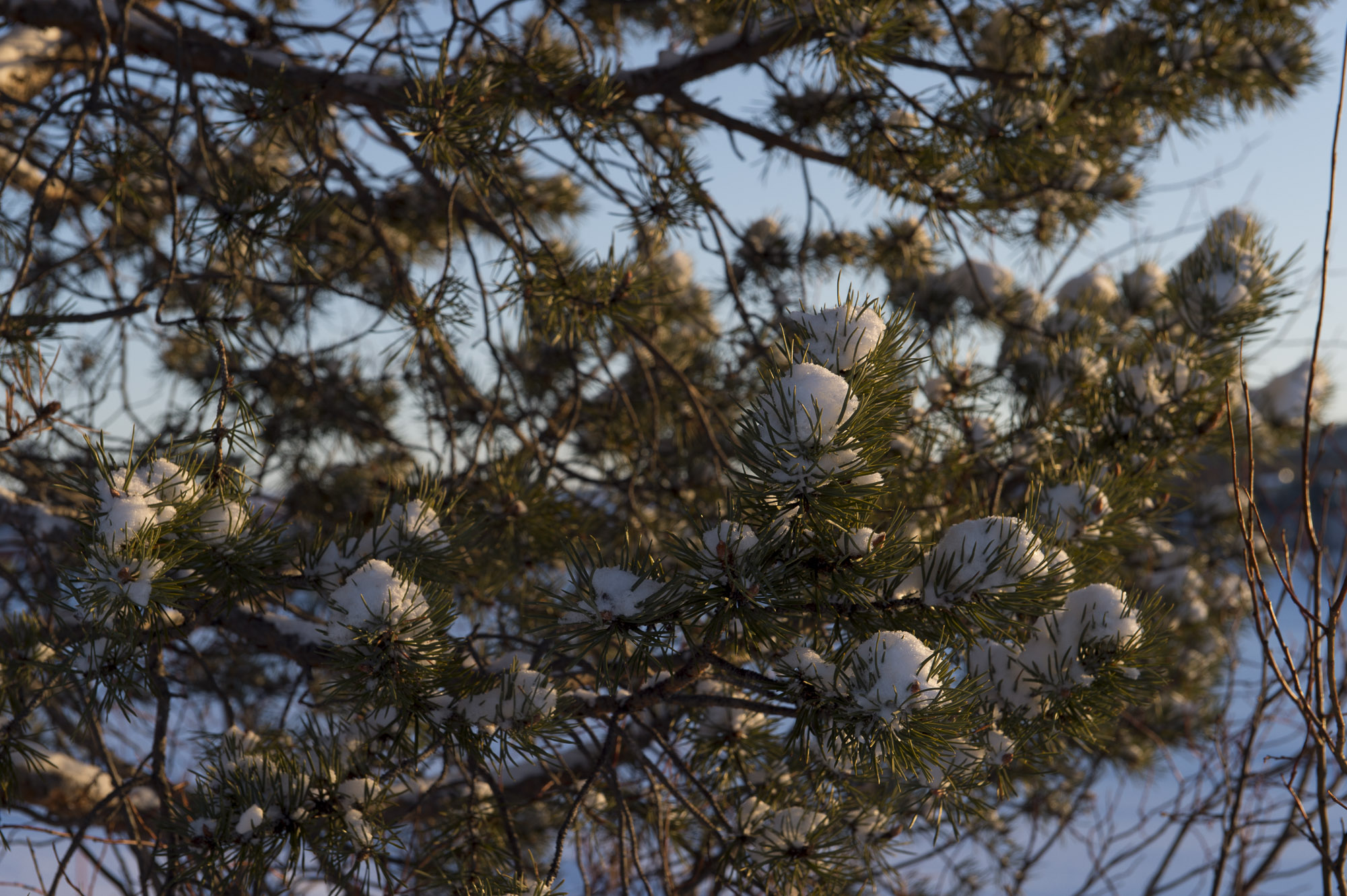 20150204 Finnland Trip 020  SNE7417