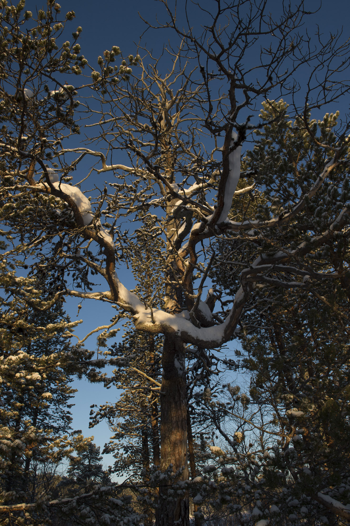 20150204 Finnland Trip 022  SNE7421
