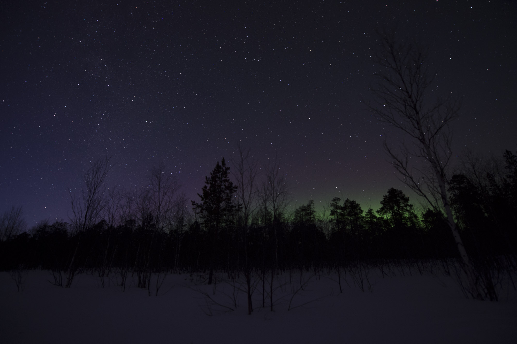 20150204 Finnland Trip 050  SNE7649