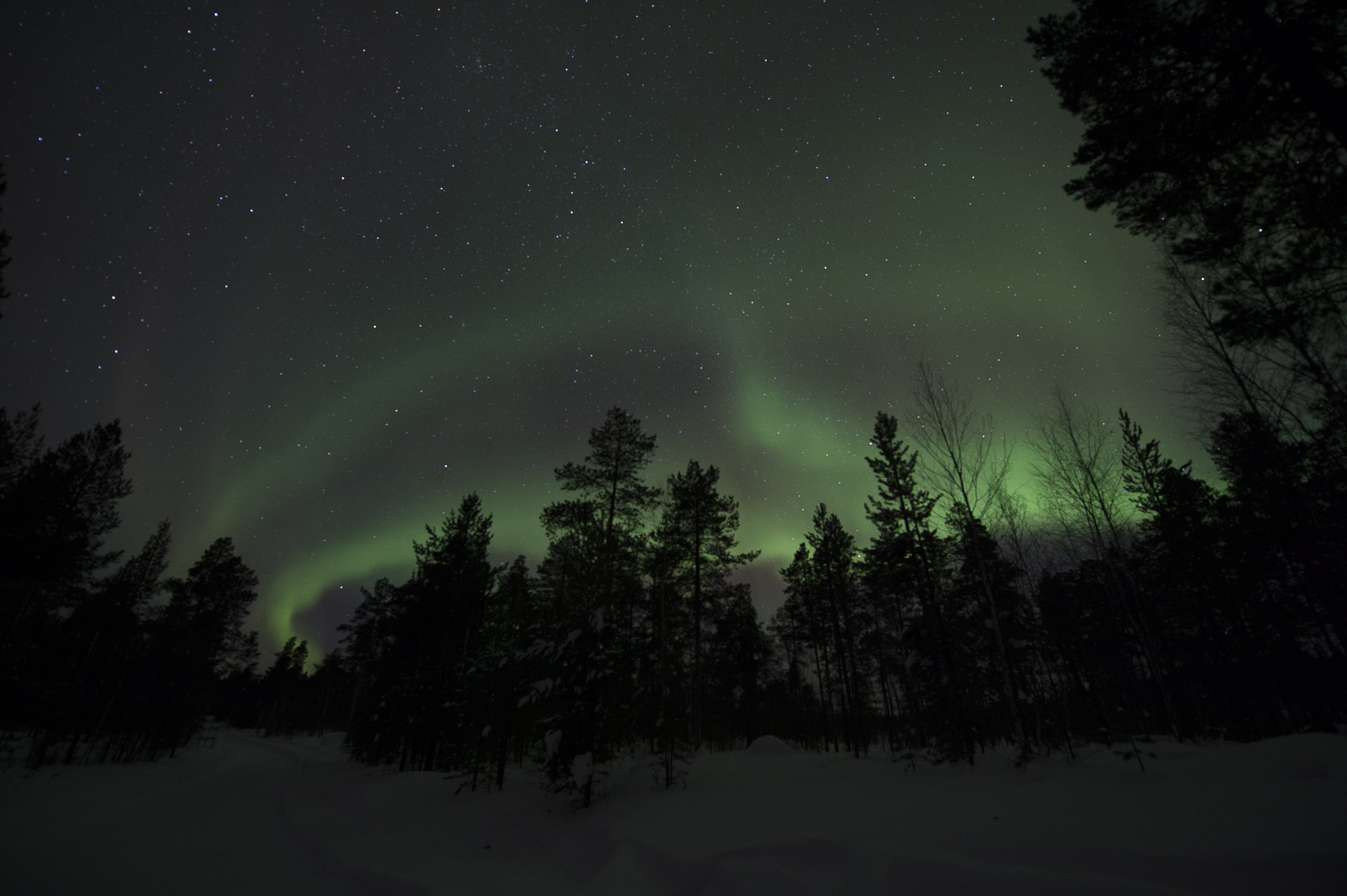20150204 Finnland Trip 061  SNE7740