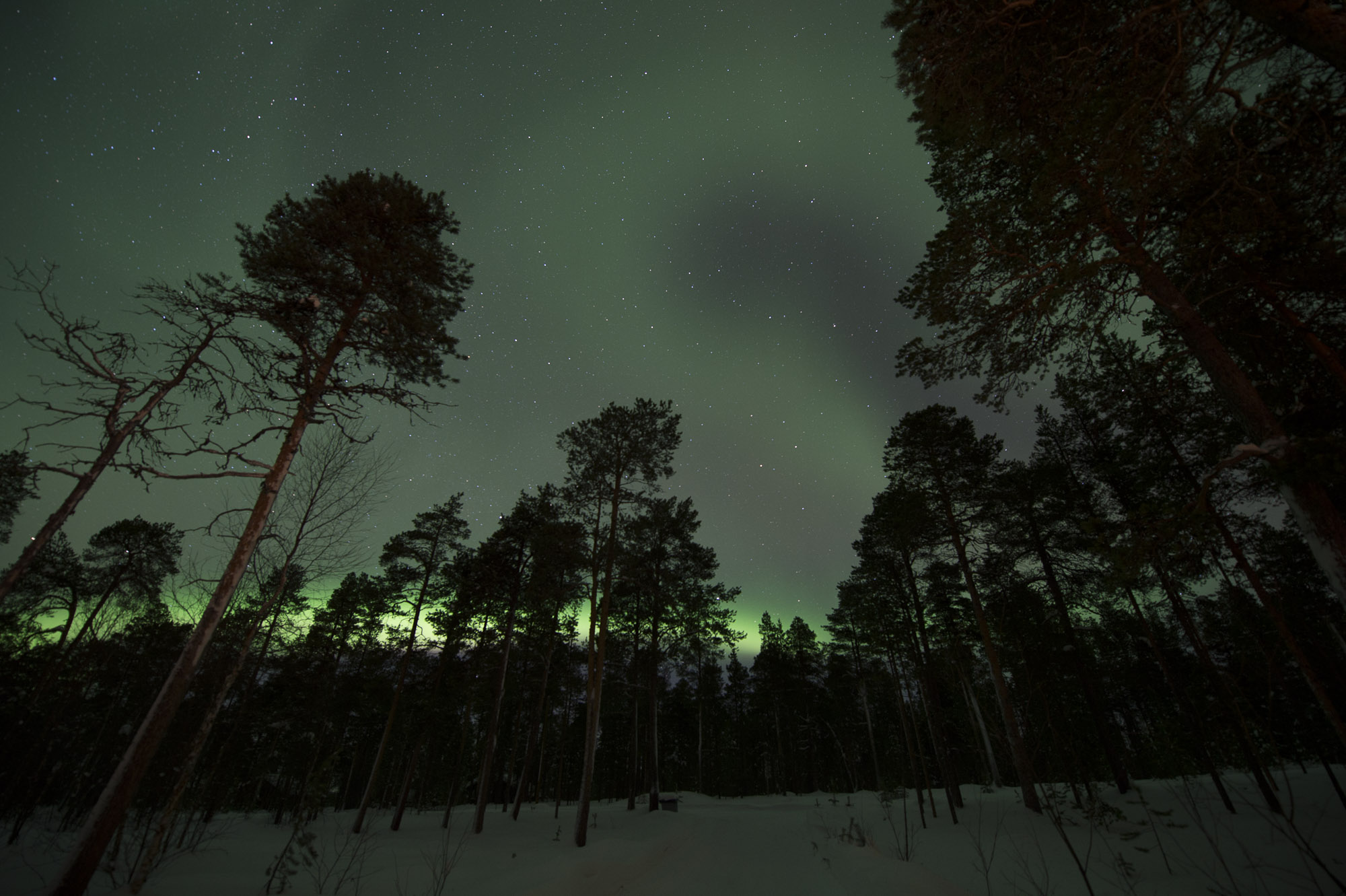 20150204 Finnland Trip 065  SNE7766