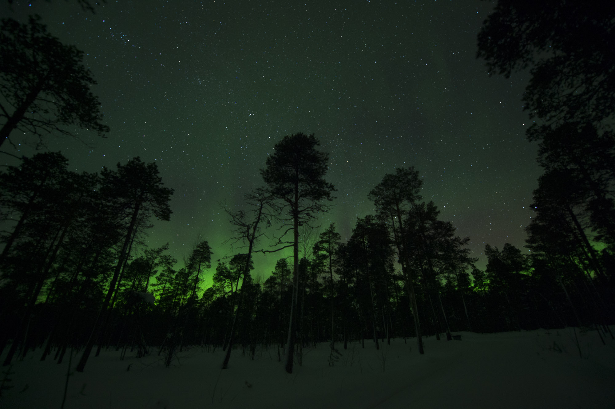 20150204 Finnland Trip 067  SNE7777
