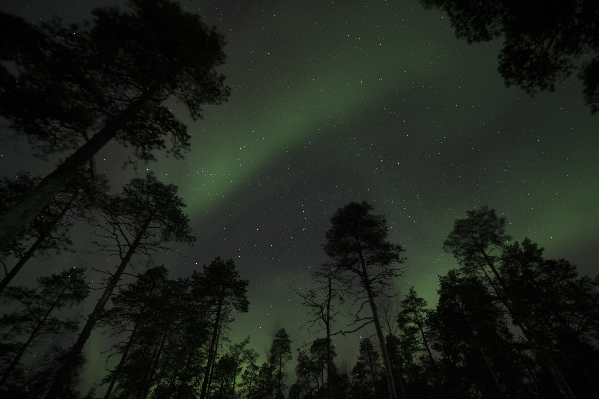 20150204 Finnland Trip 068  SNE7785