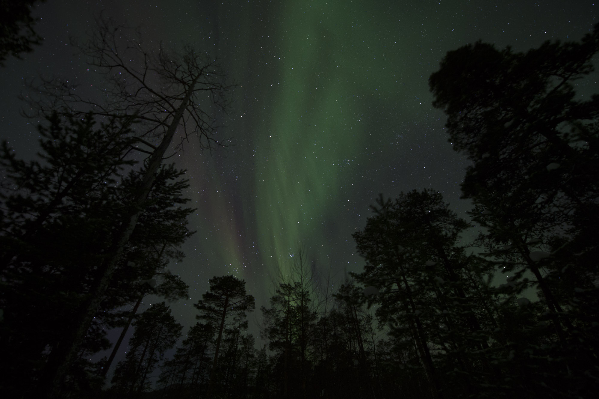 20150204 Finnland Trip 069  SNE7790