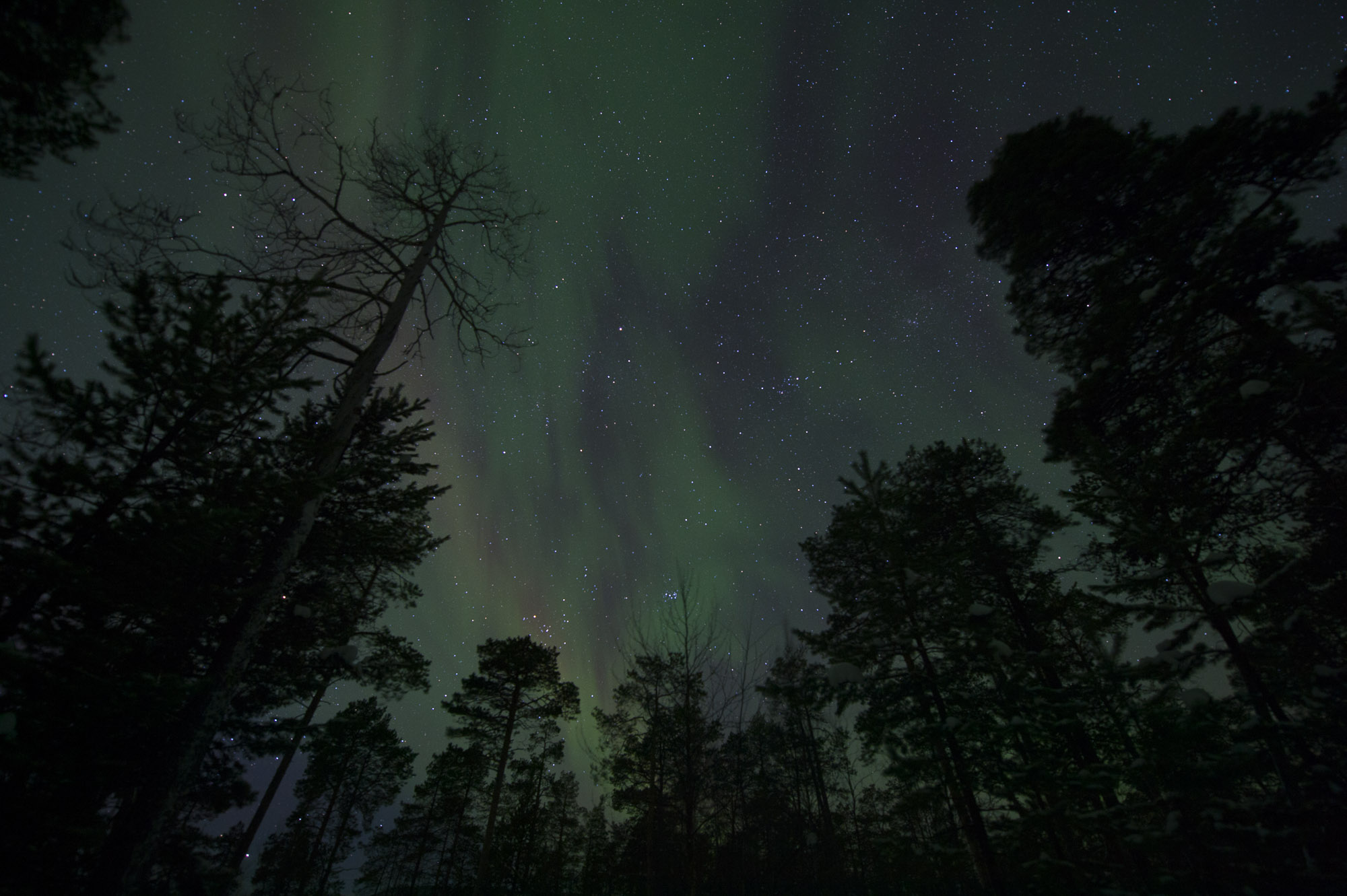 20150204 Finnland Trip 070  SNE7797