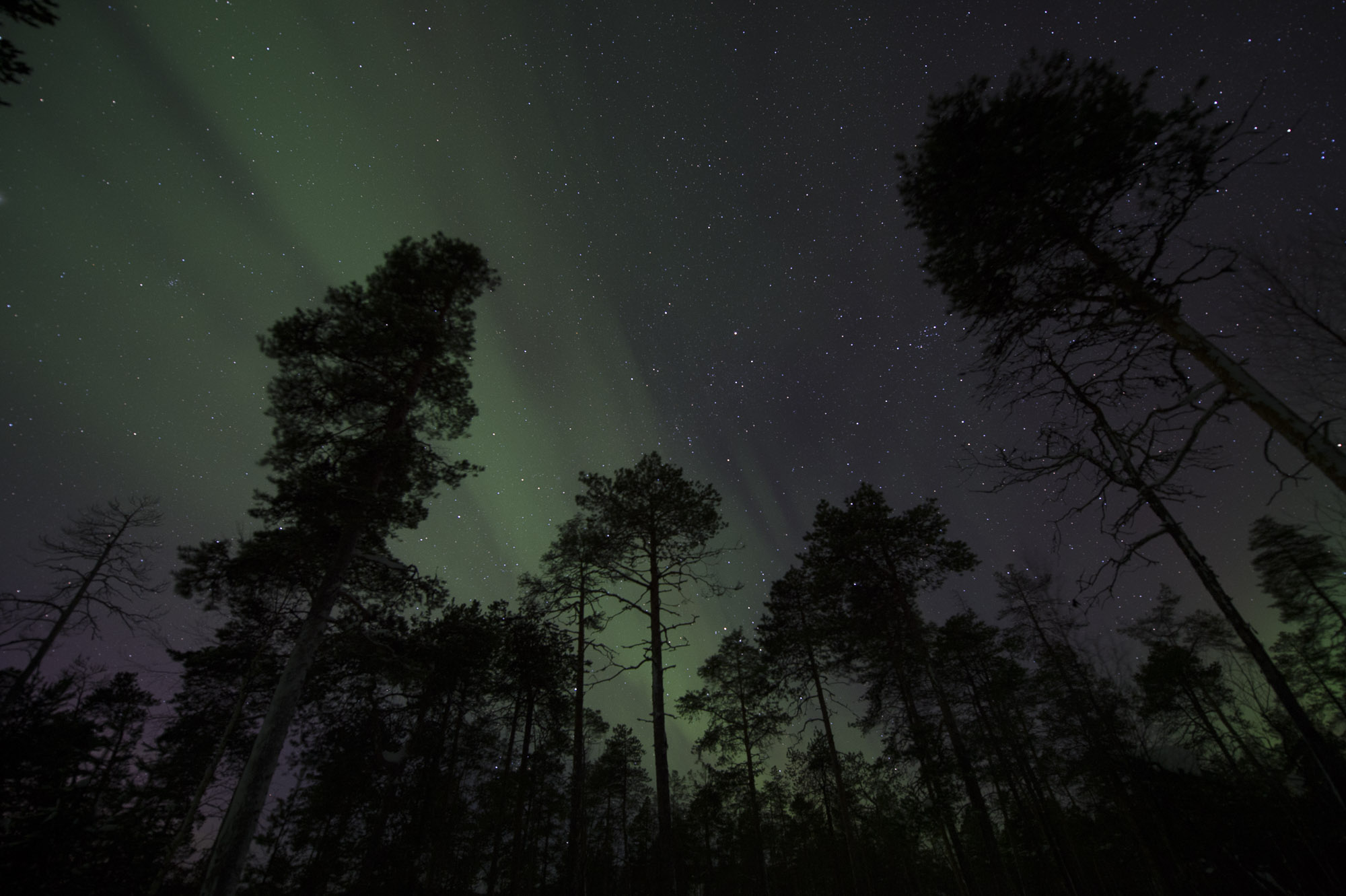 20150204 Finnland Trip 073  SNE7809