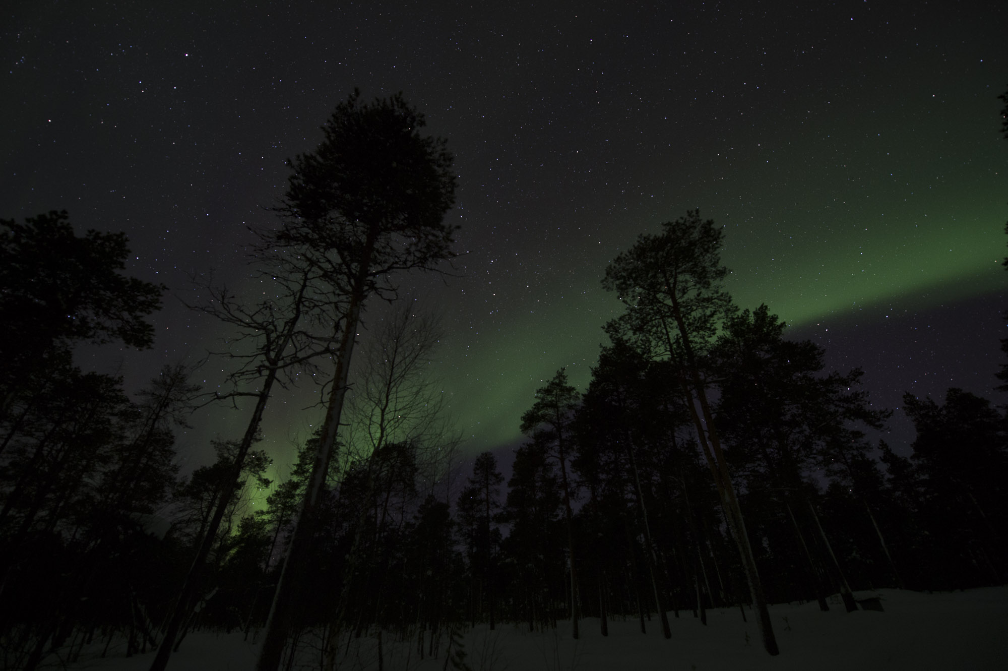 20150204 Finnland Trip 074  SNE7815