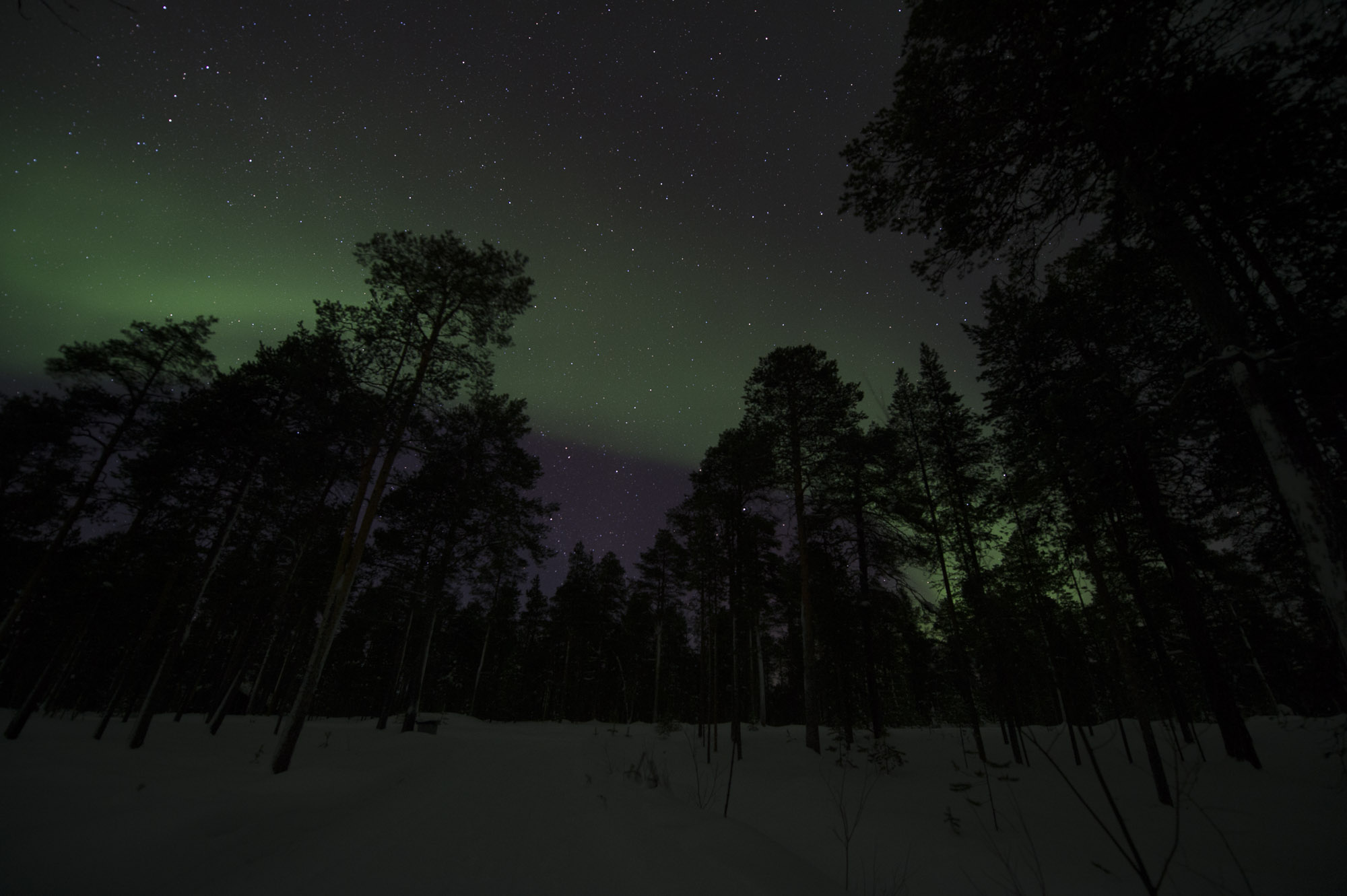 20150204 Finnland Trip 075  SNE7817