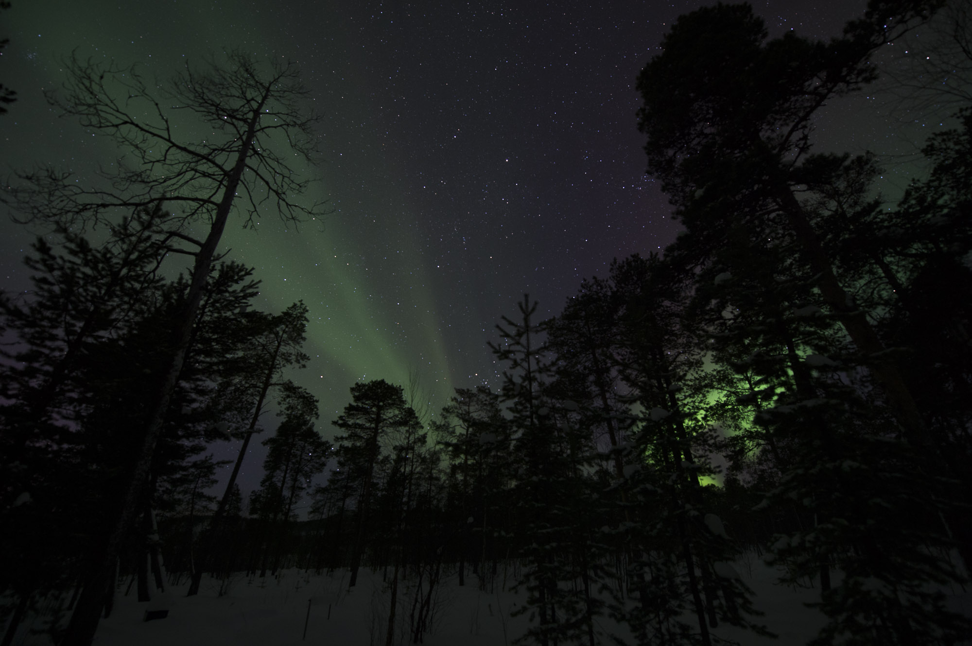 20150204 Finnland Trip 076  SNE7825