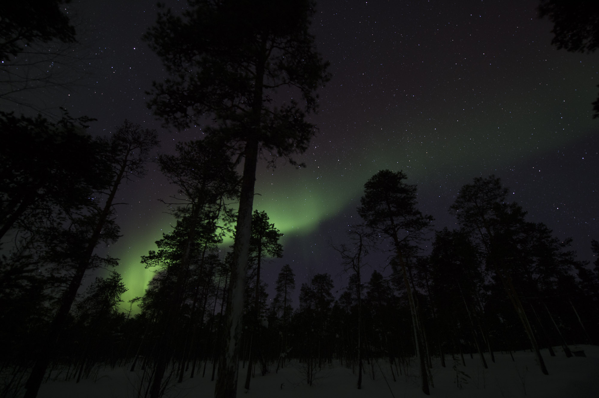 20150204 Finnland Trip 077  SNE7827