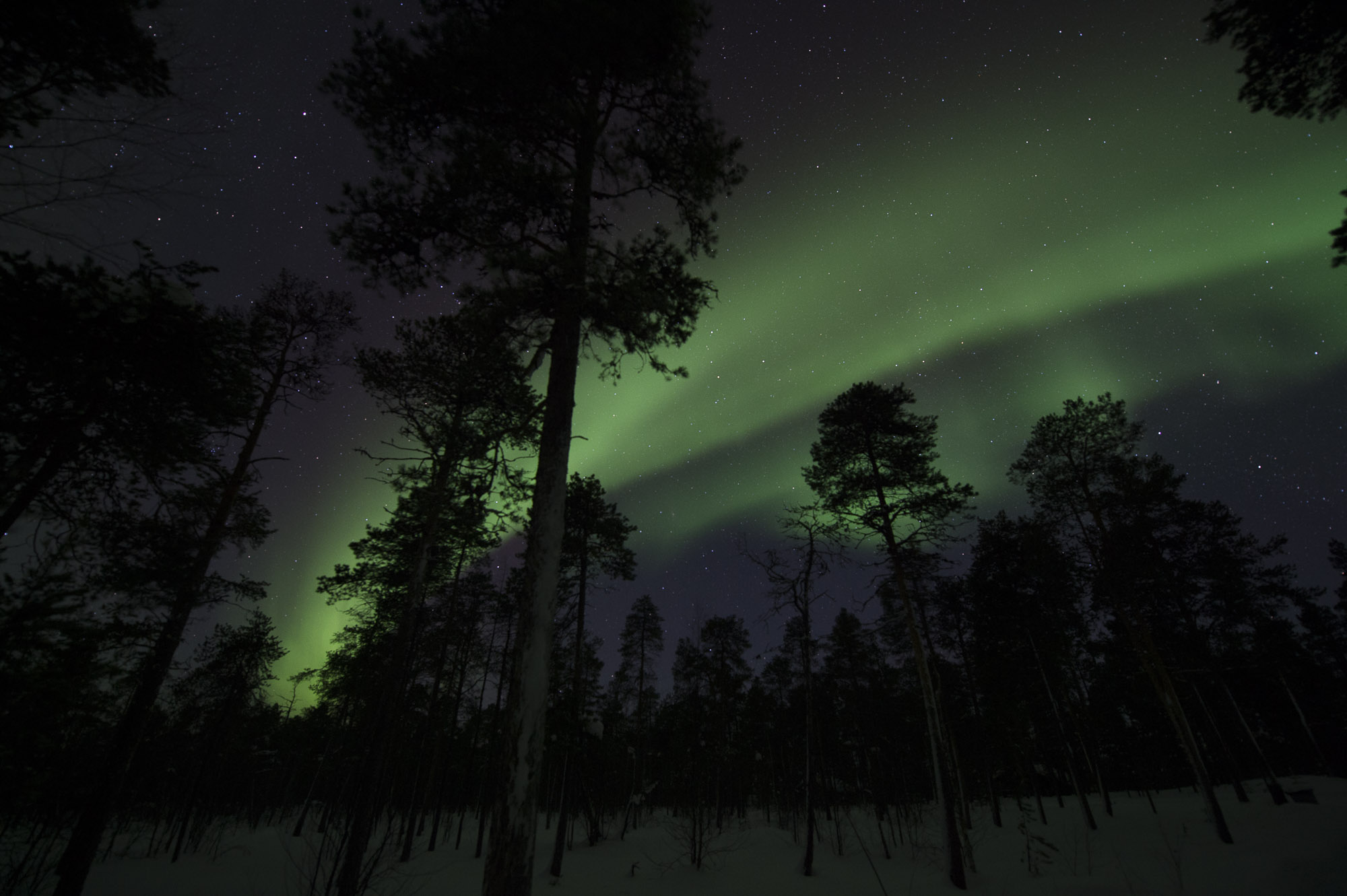 20150204 Finnland Trip 078  SNE7830