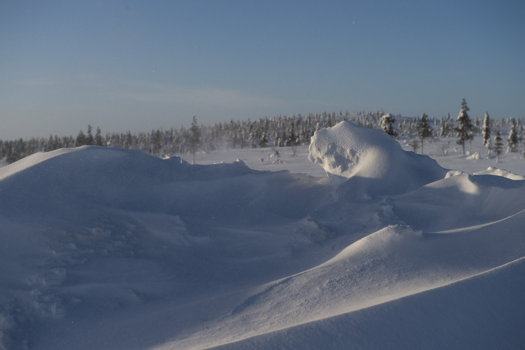 20150204 Finnland Trip 081  SNE7894