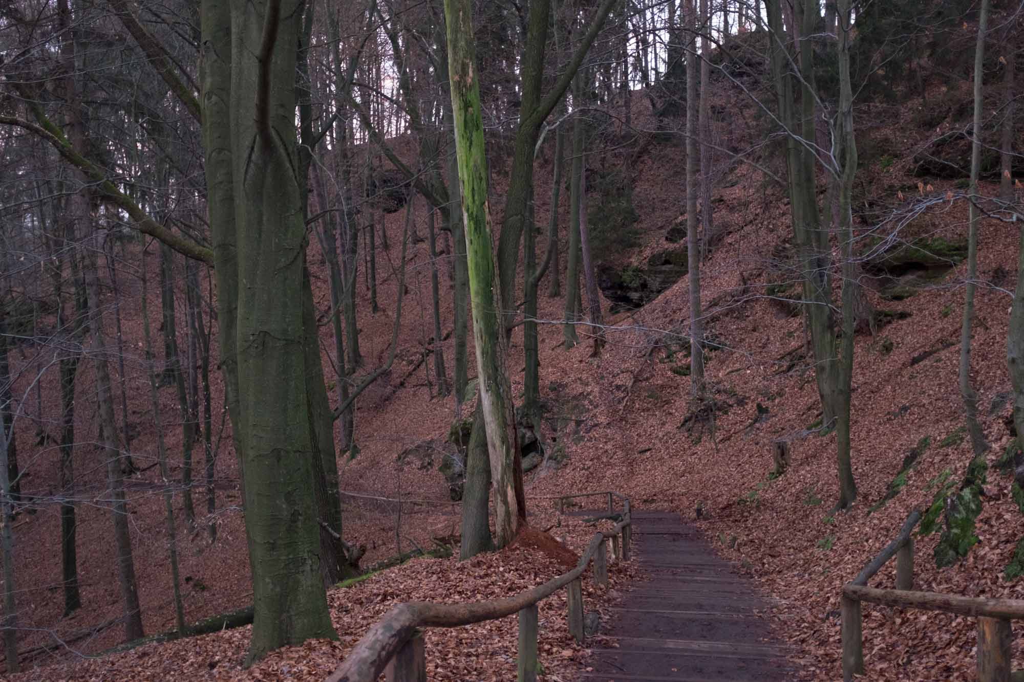 20151226 Dresden Trip 079  FJ02751