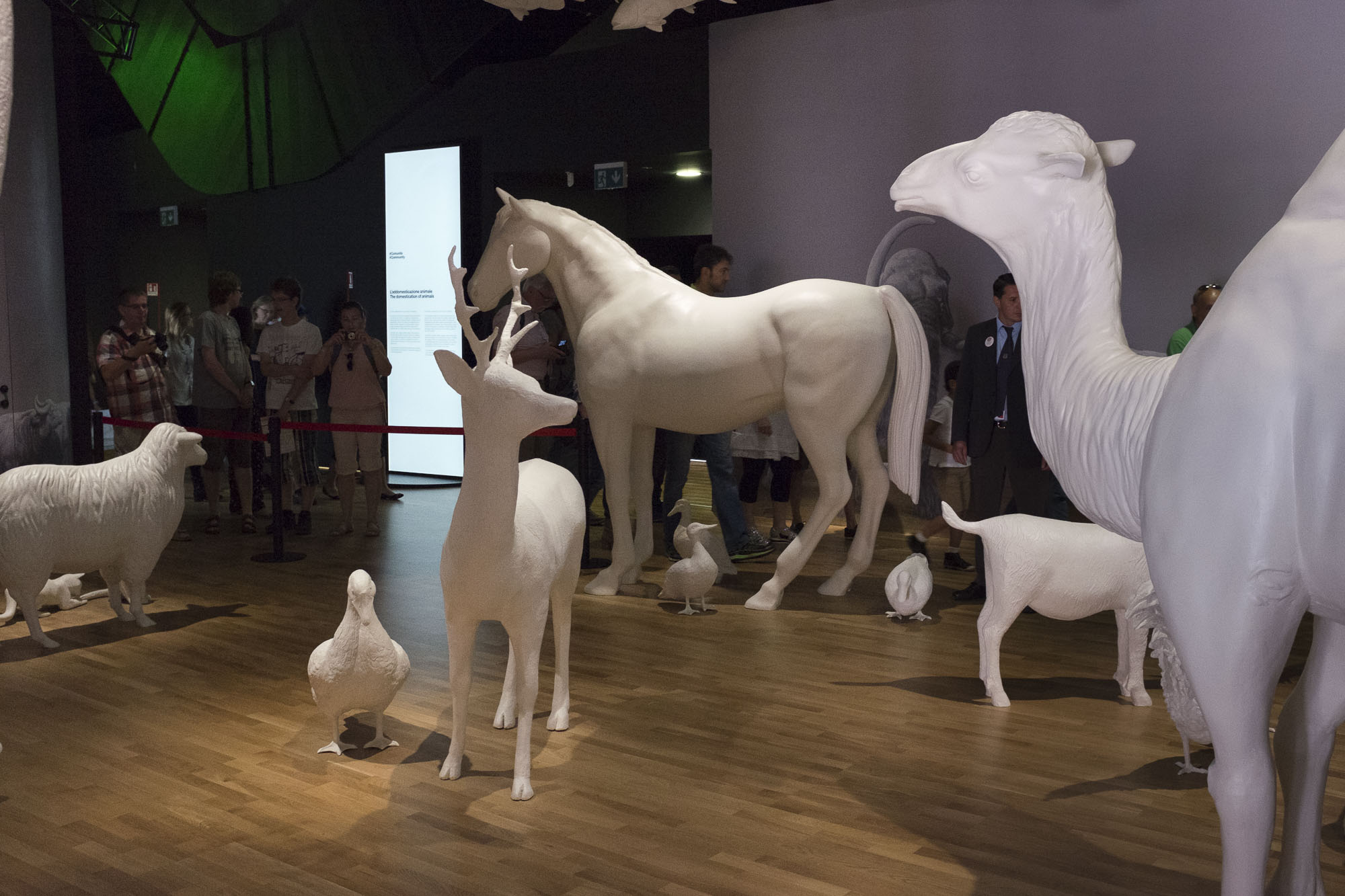 20150625 Expo 2015 Milano 012
