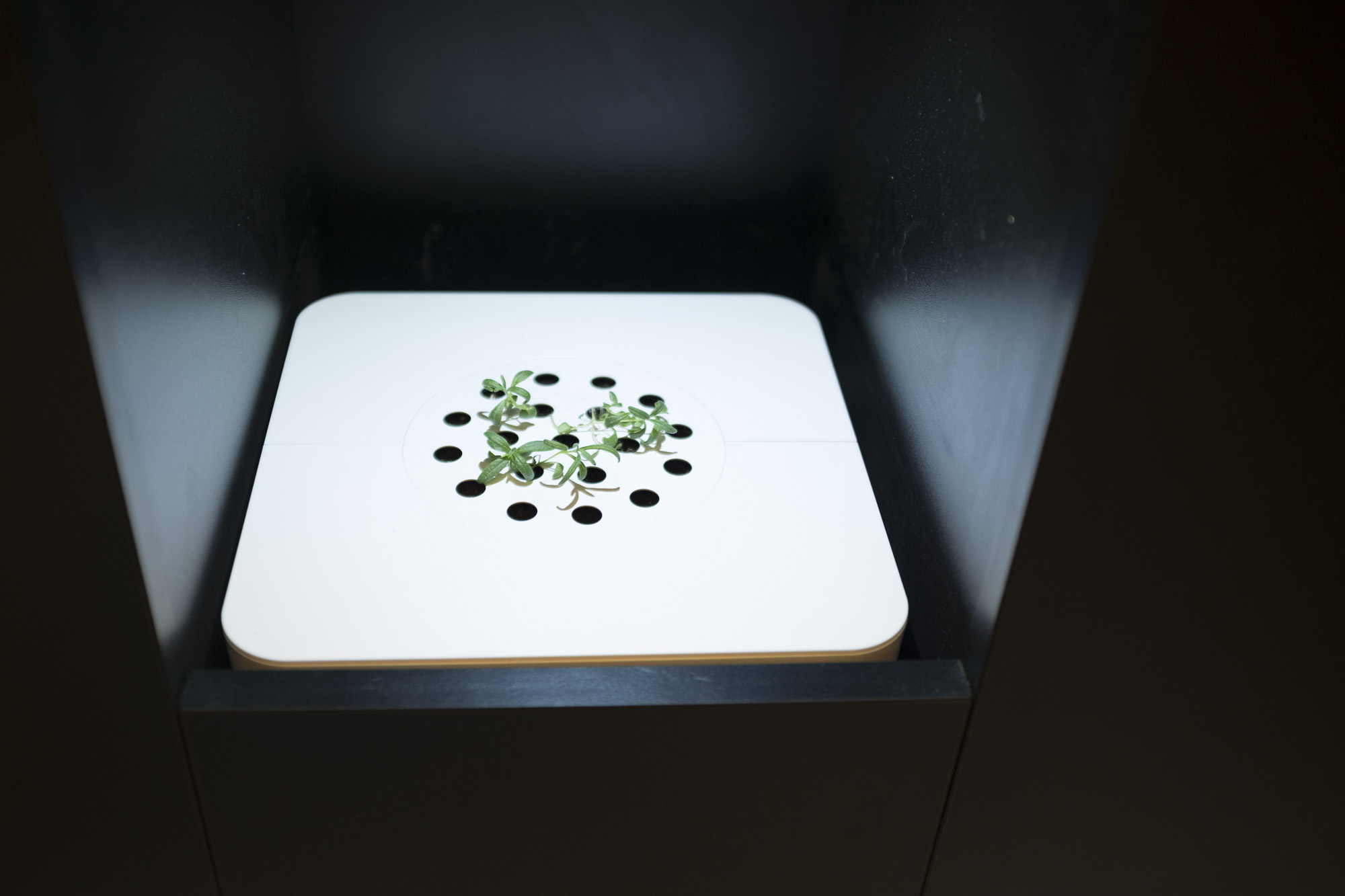 20150625 Expo 2015 Milano 088