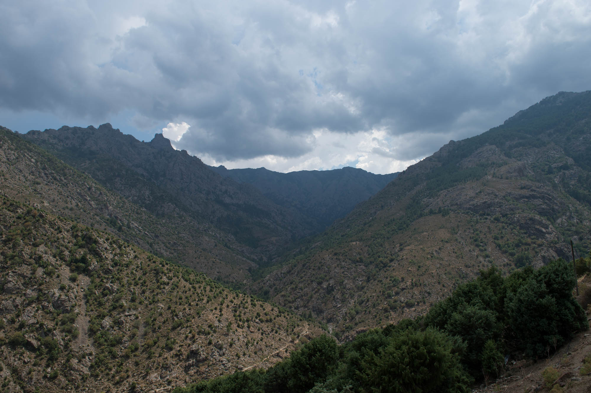 20150720 Corsica Trip 010  SN28200