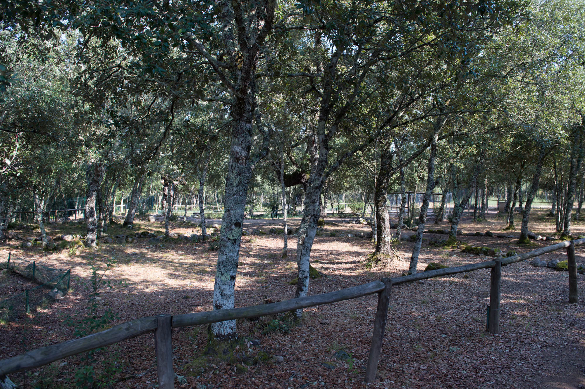 20150720 Corsica Trip 019  SN28274