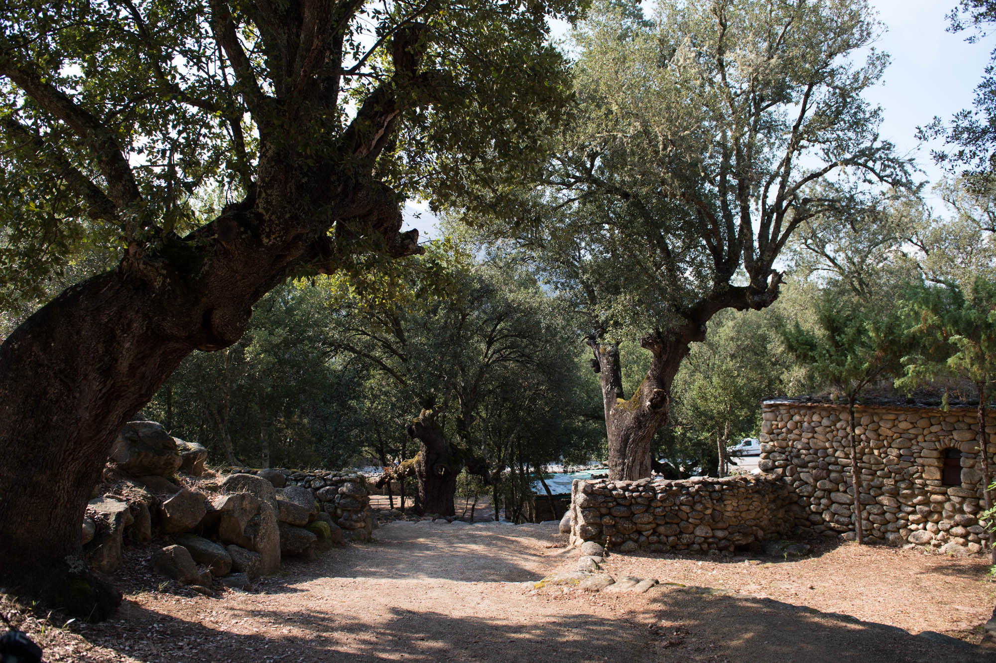 20150720 Corsica Trip 021  SN28285