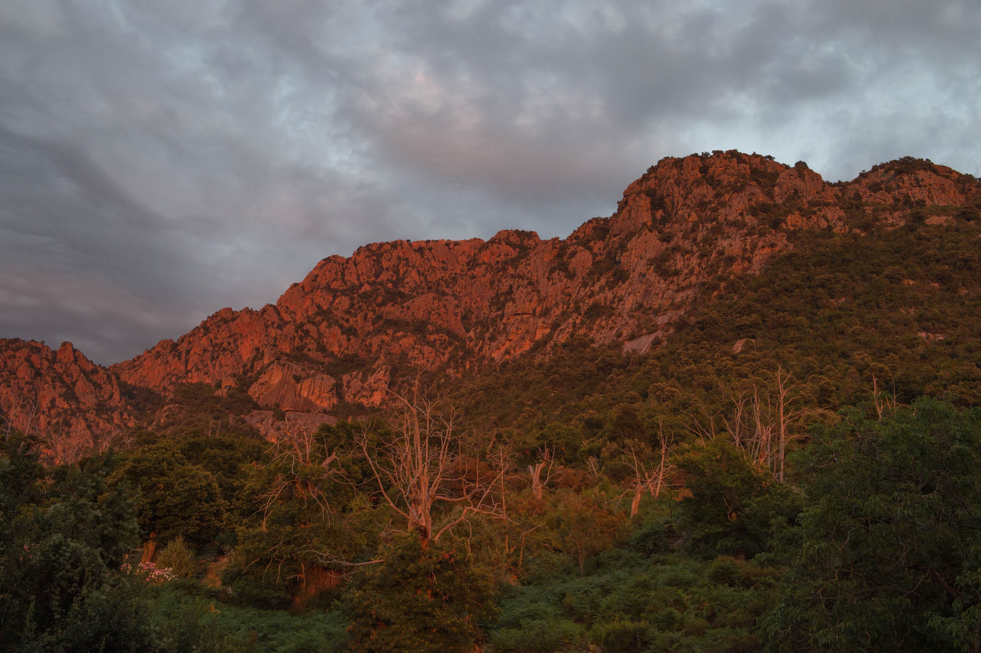 20150720 Corsica Trip 090  SN28612