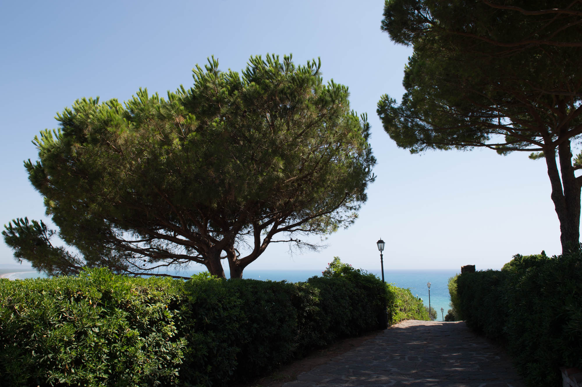 20150729 Toscana Trip 010  SN28666
