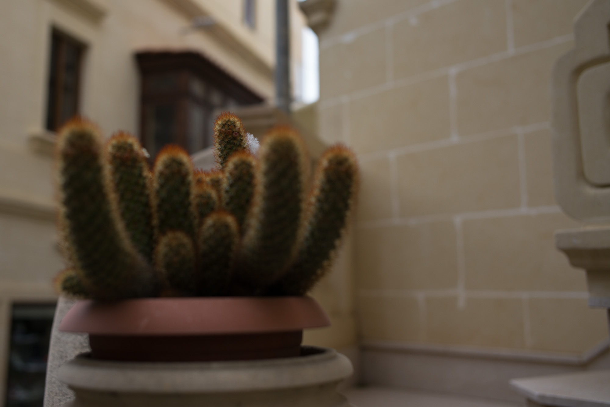 20160321 Malta Trip 019 L1000183
