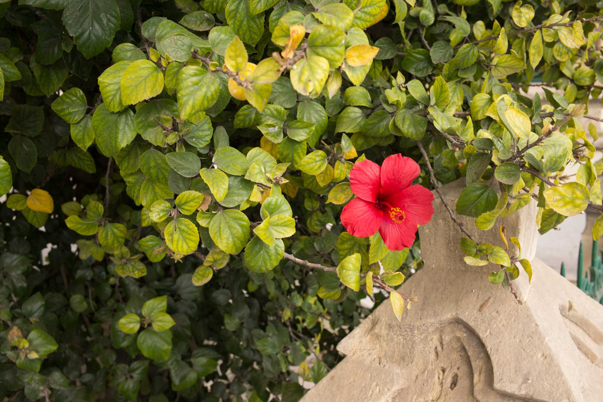 20160321 Malta Trip 066 L1000443