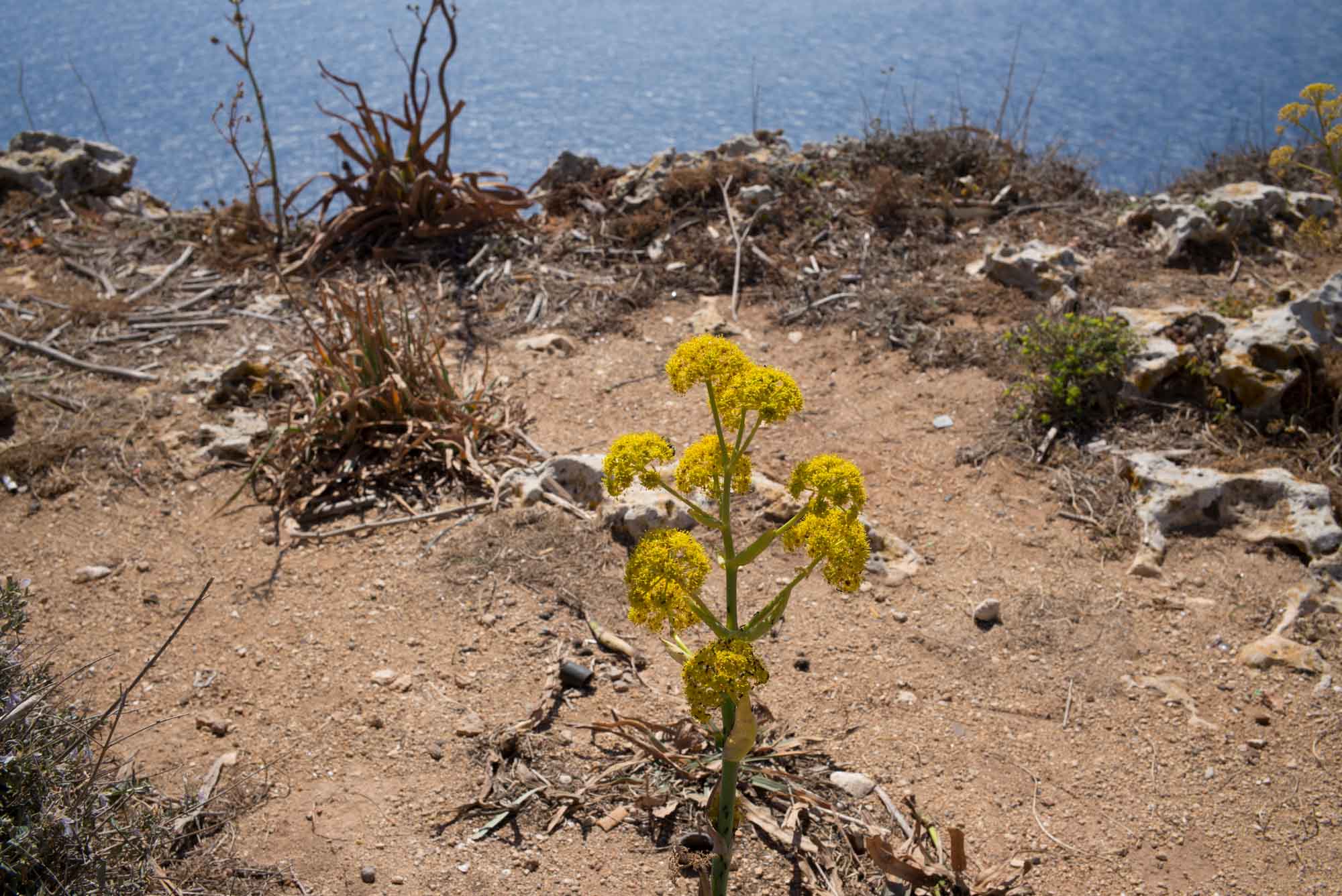 20160321 Malta Trip 078 L1000488