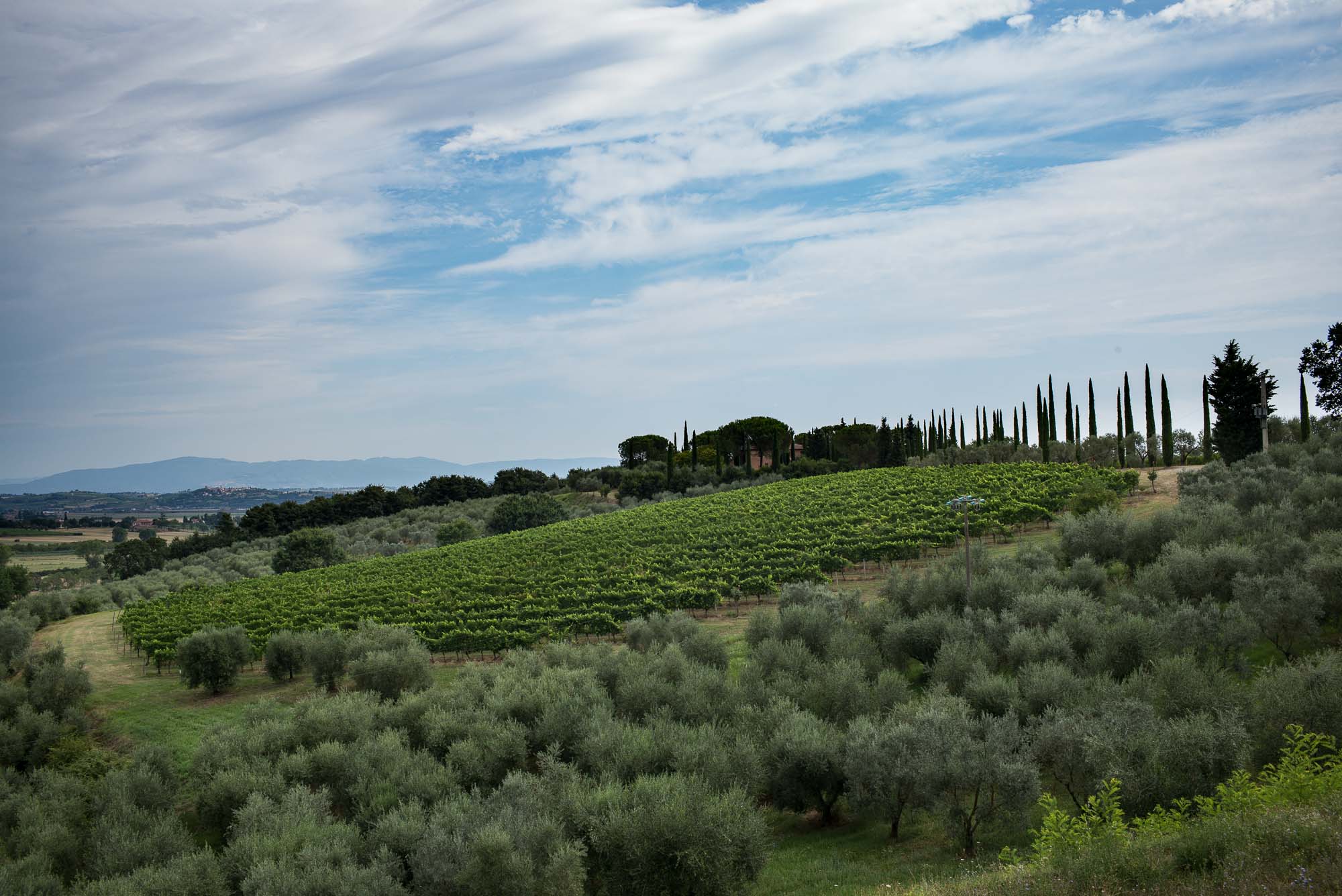 Northern Italy Trip