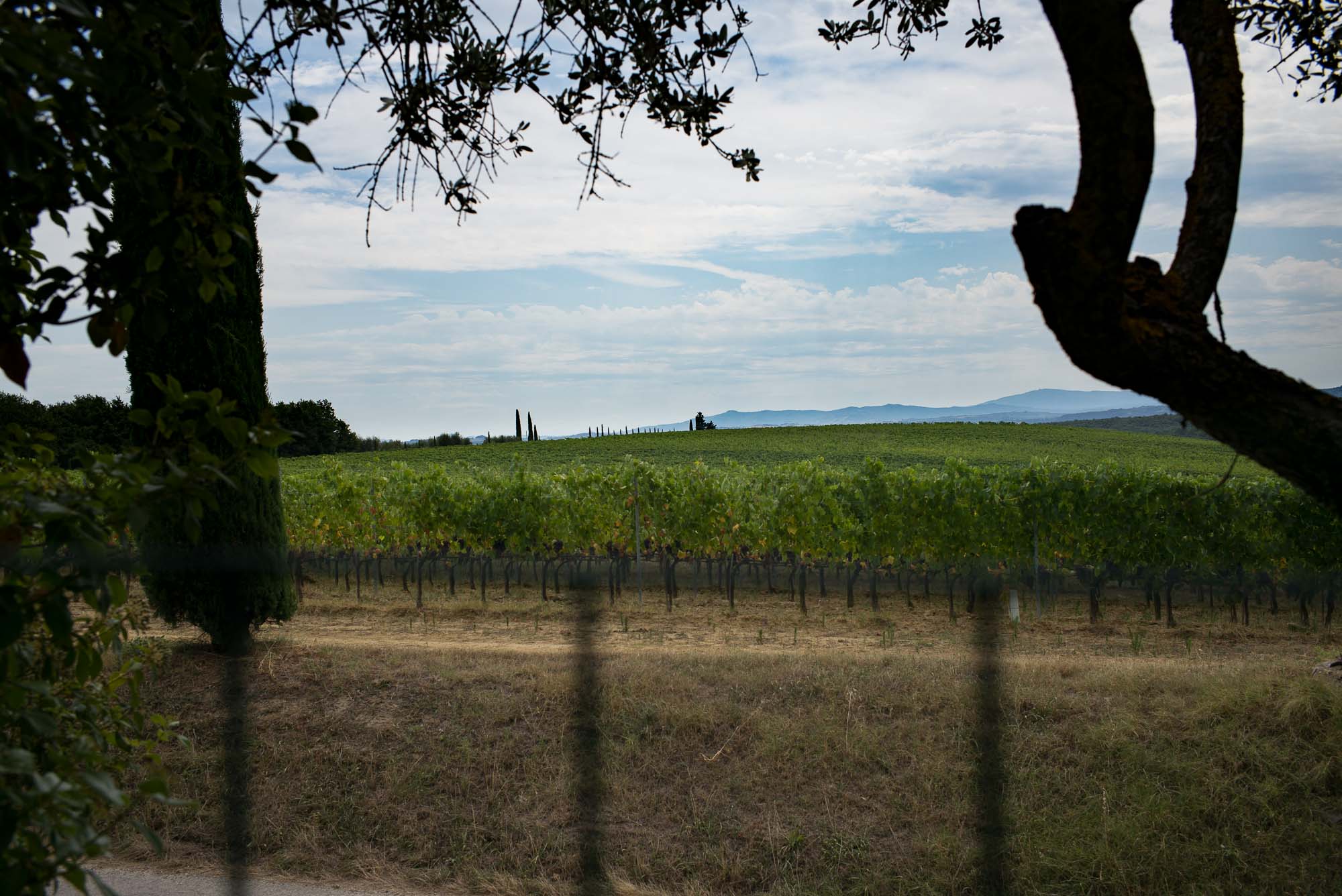 20160729 Northern Italy Trip 060 L1001082