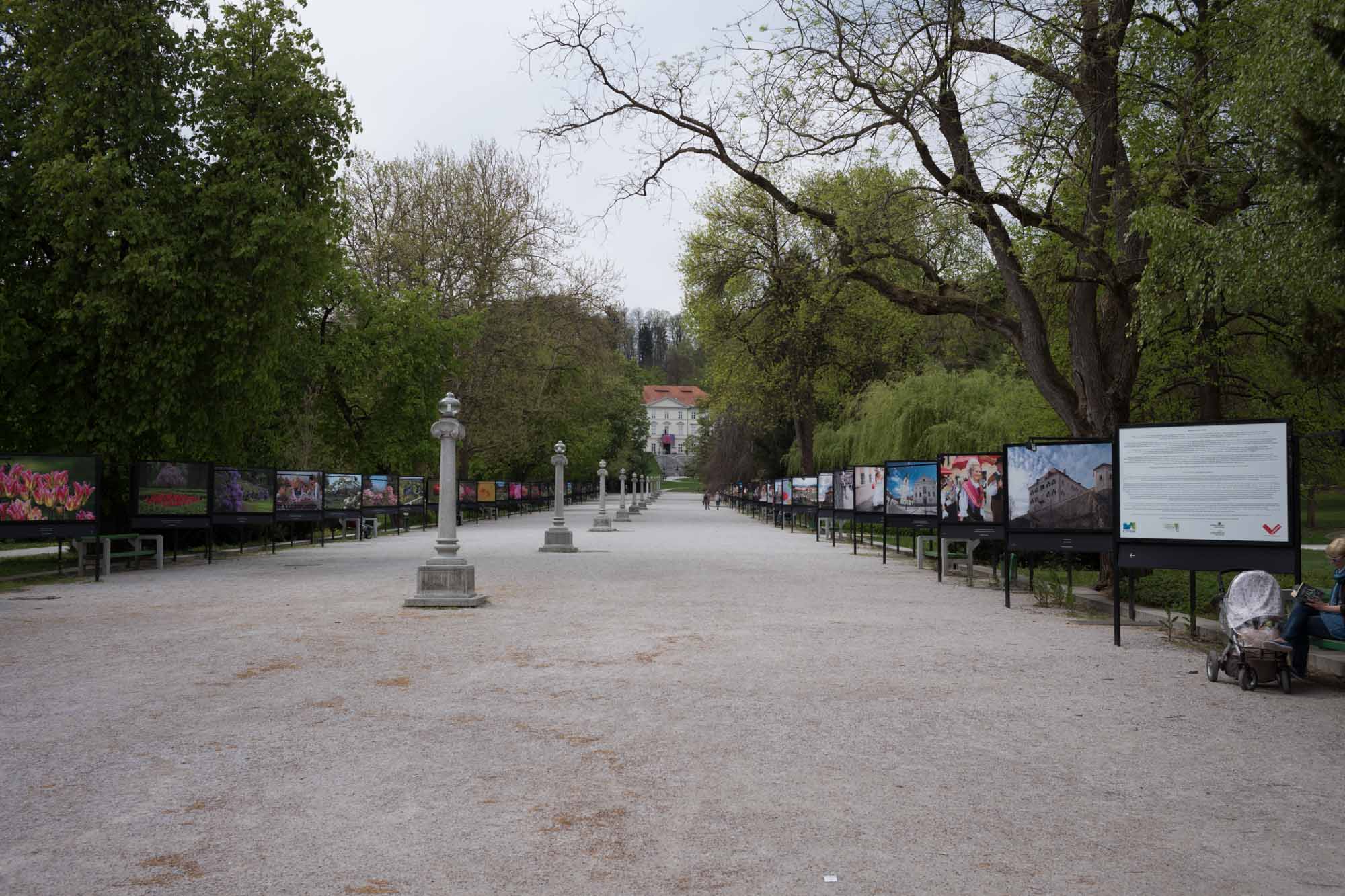 02 Slovenia 040 L1000471