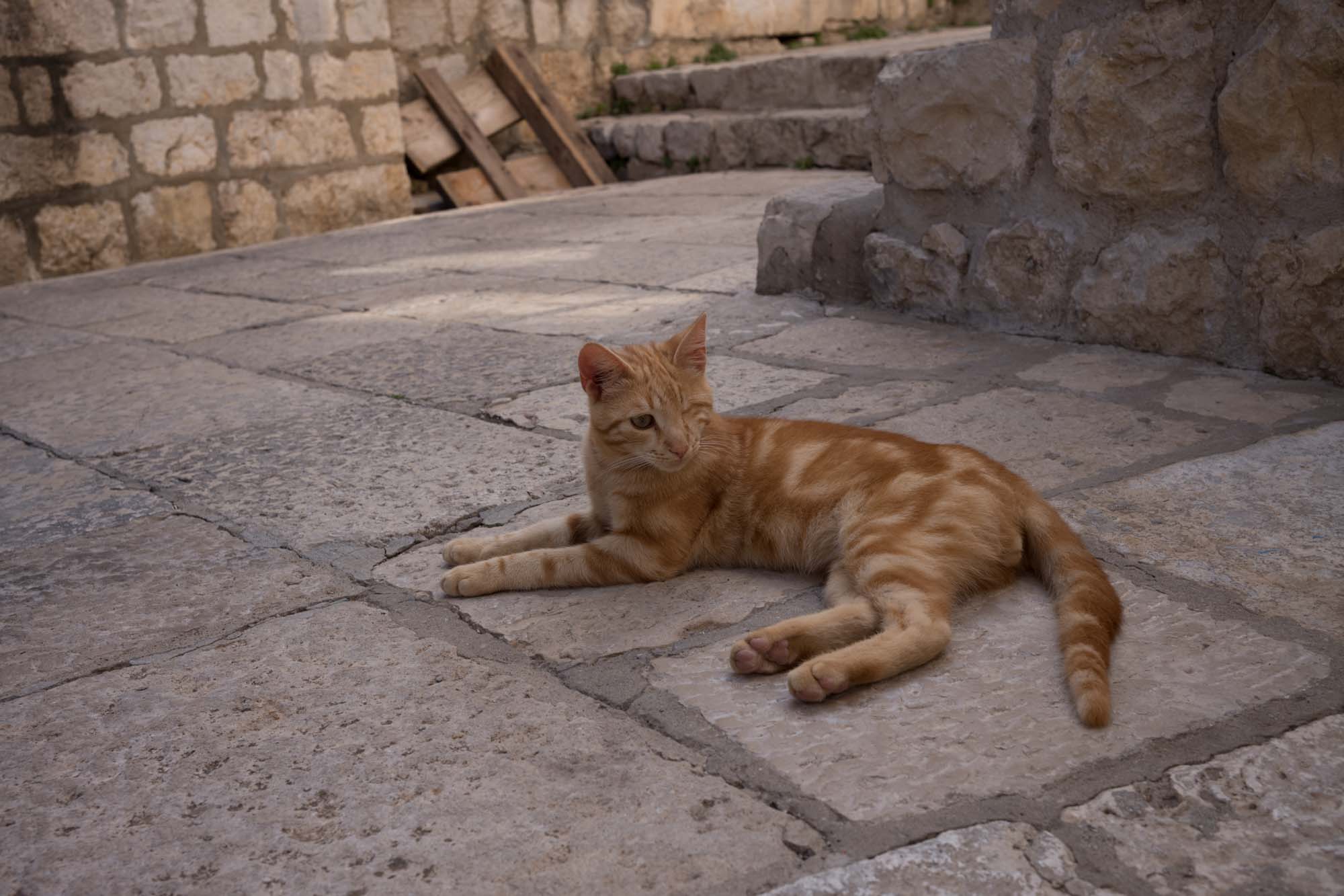 03 Croatia 066 L1001216