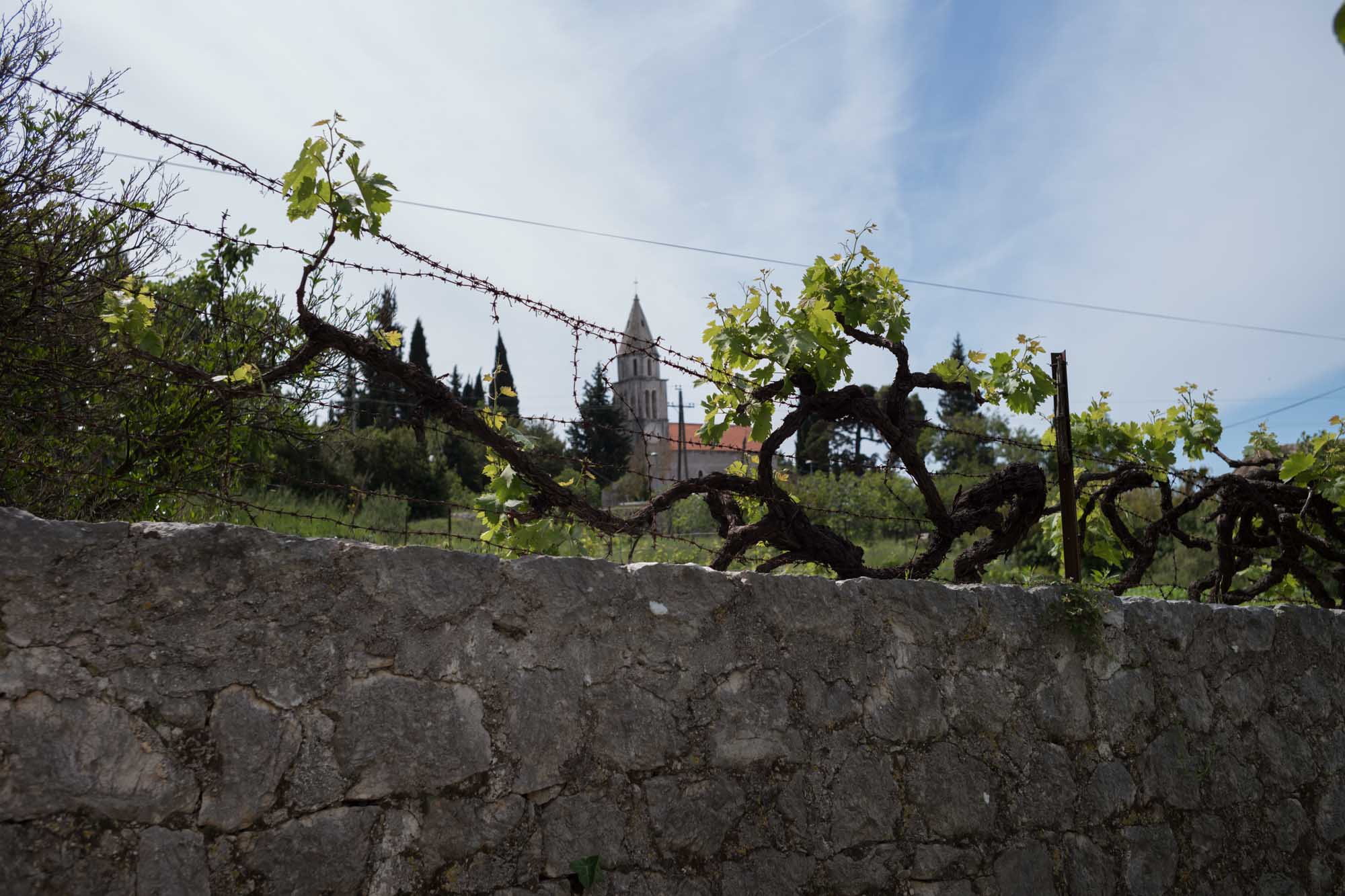 03 Croatia 074 L1001246