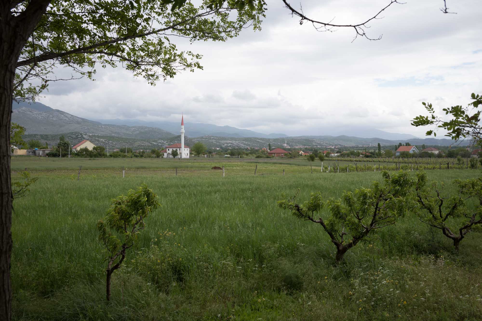 06 Albania 004 L1001378