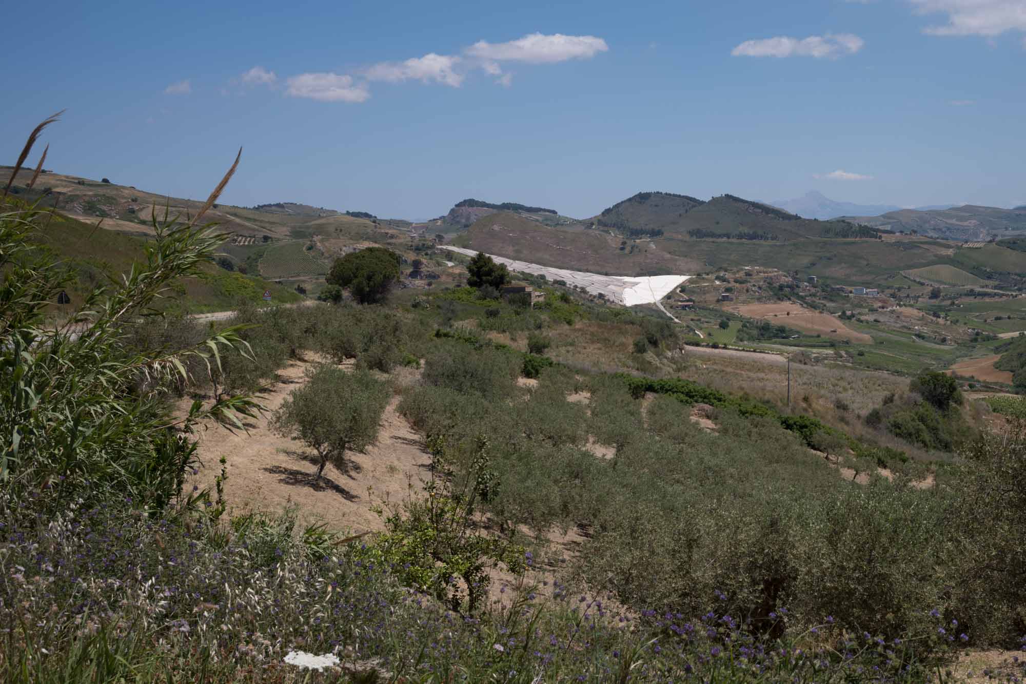 09 Sicily 015 L1001762