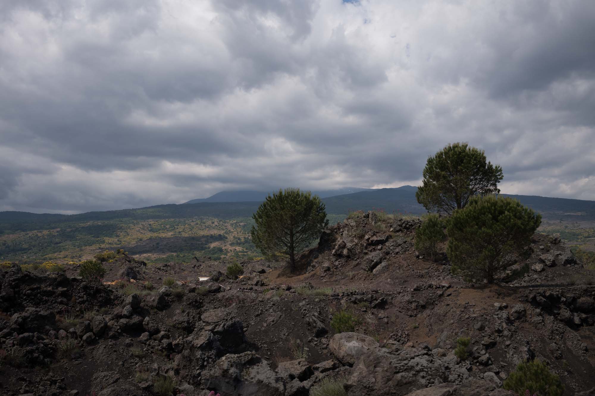 09 Sicily 044 L1002042