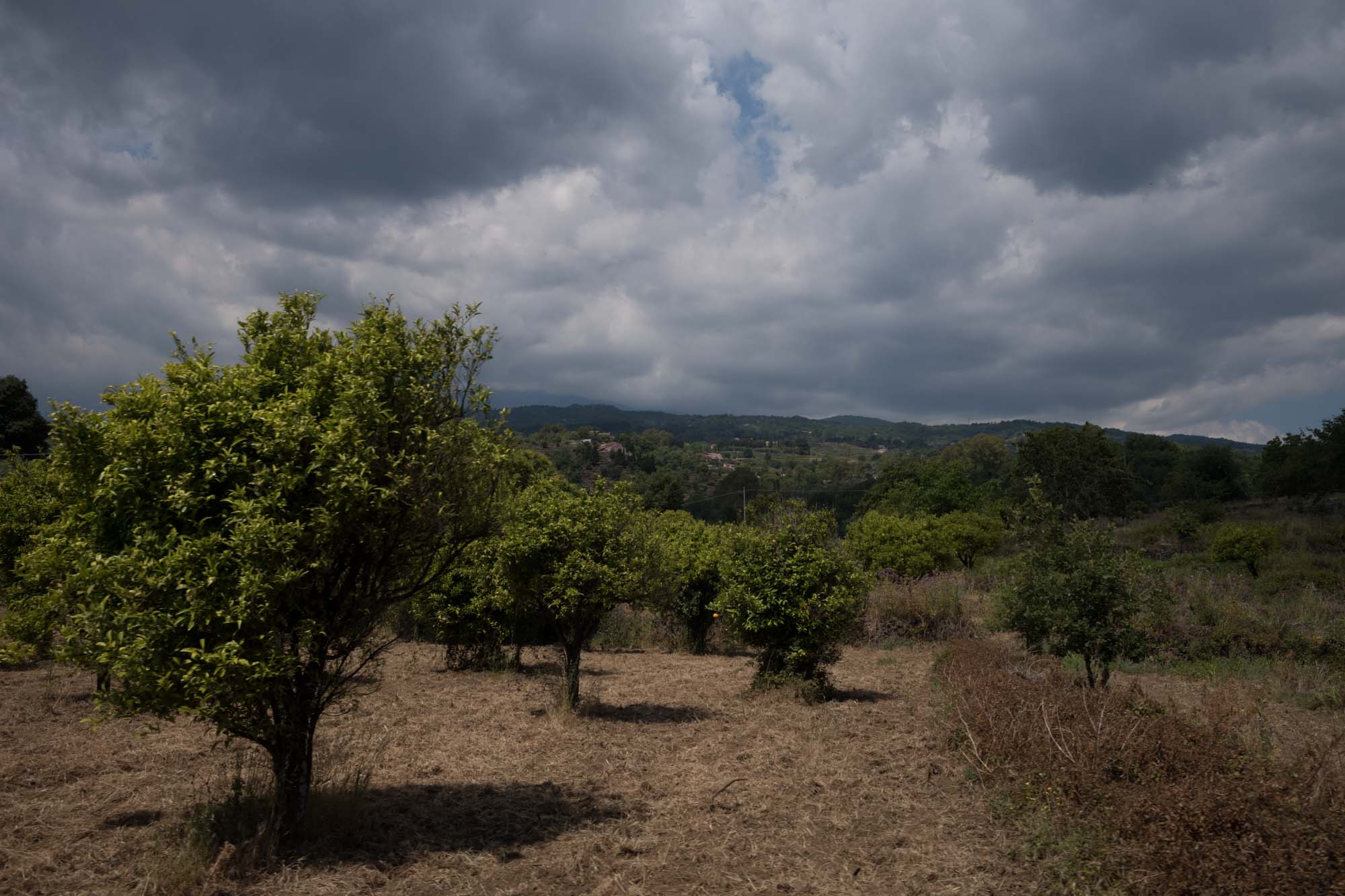 09 Sicily 045 L1002065