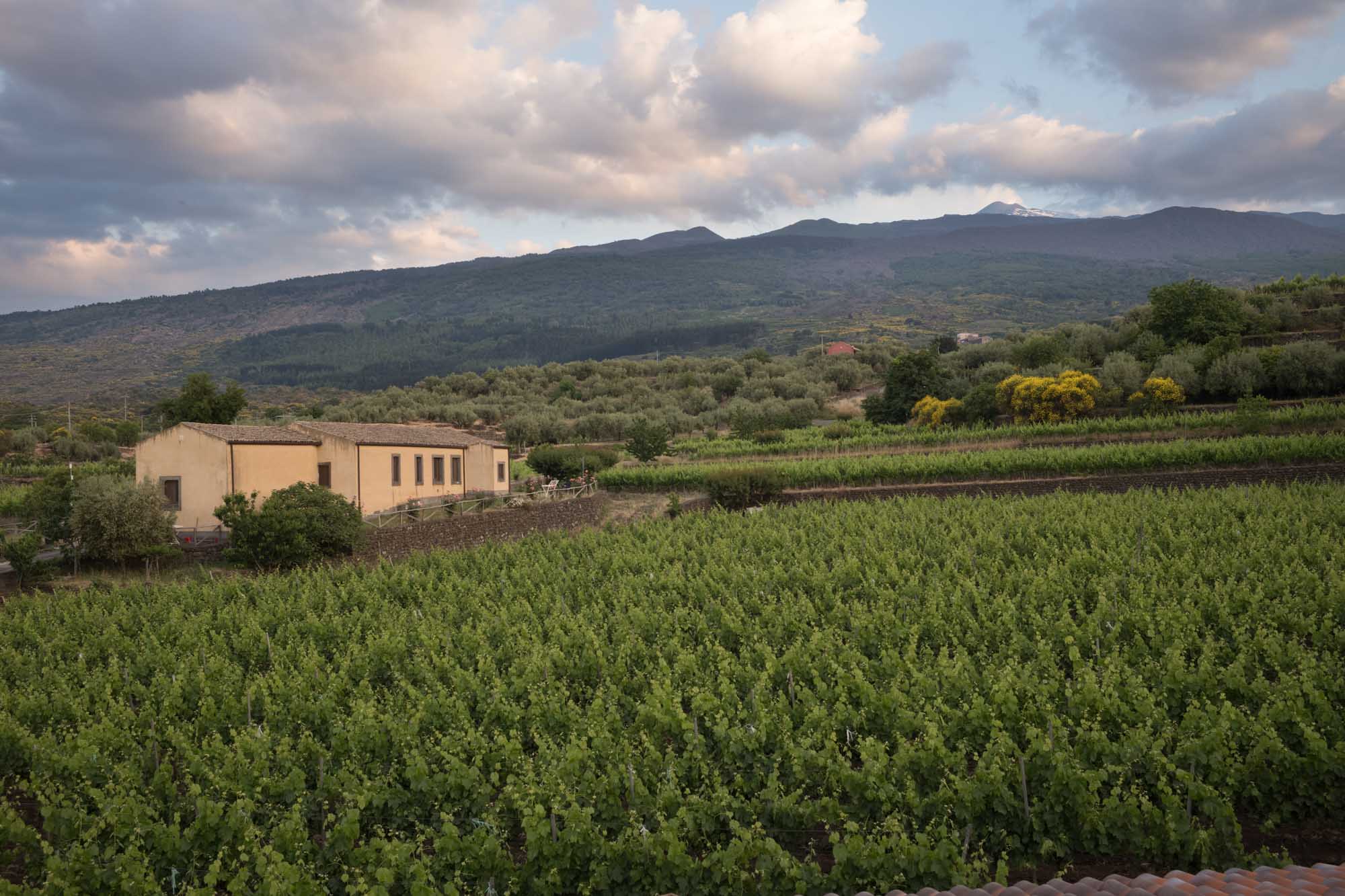 09 Sicily 050 L1002112