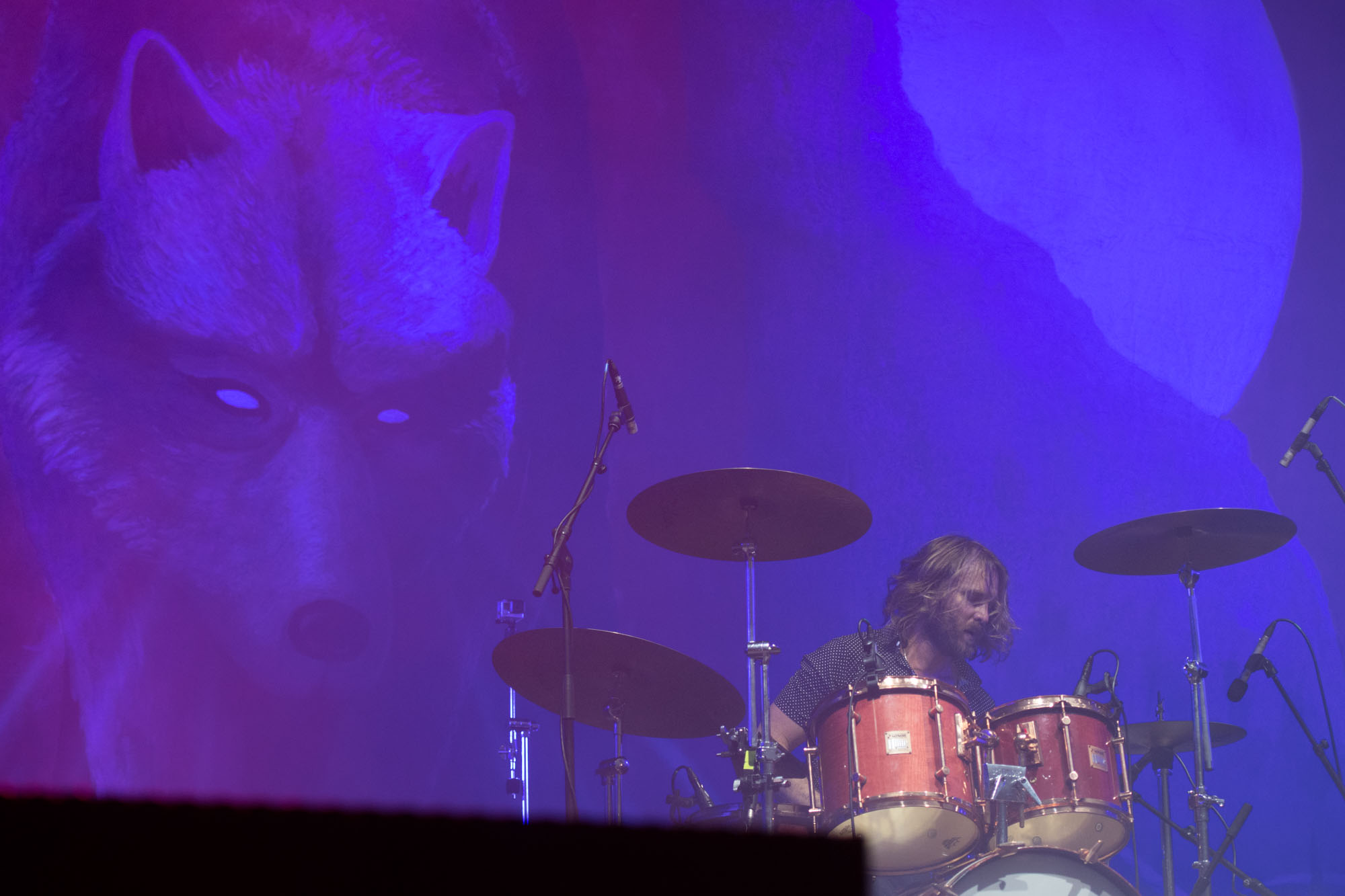 20170818 OAG 2017 0208 Wolfmother 007 DSC 0538