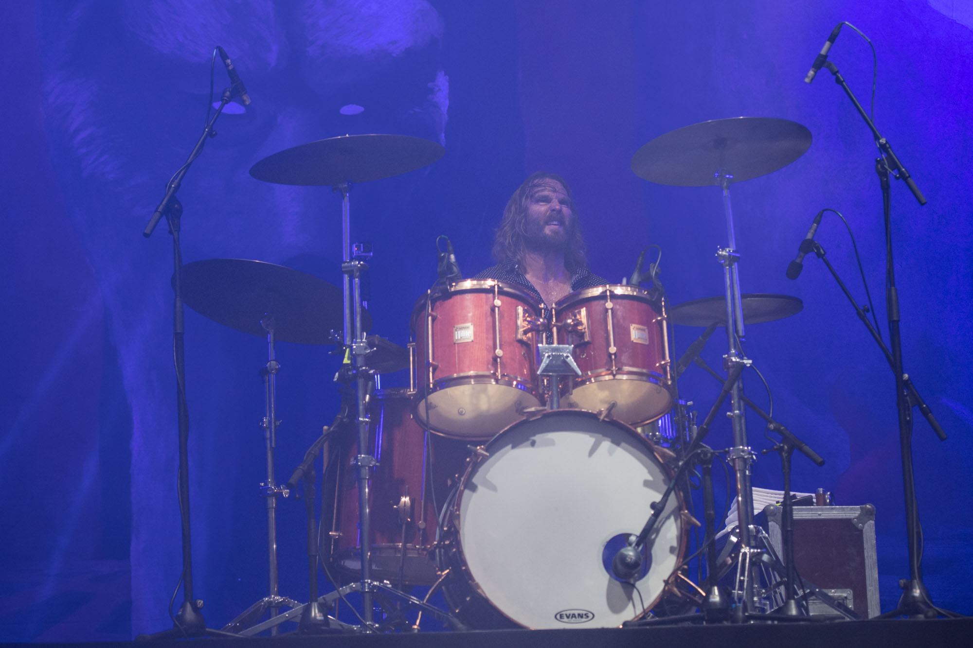 20170818 OAG 2017 0208 Wolfmother 014 DSC 0627